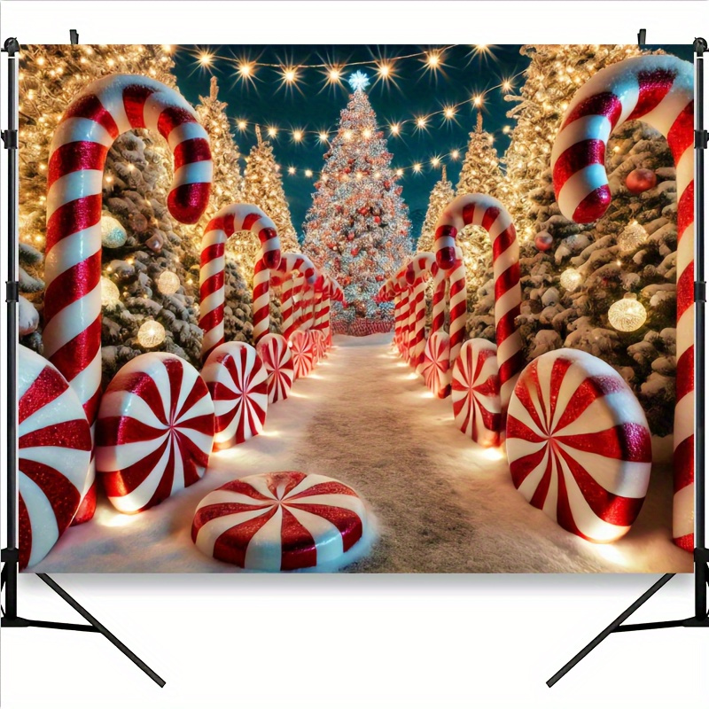 Allée de cannes en sucre avec  - Photography Lighting Material avis et prix