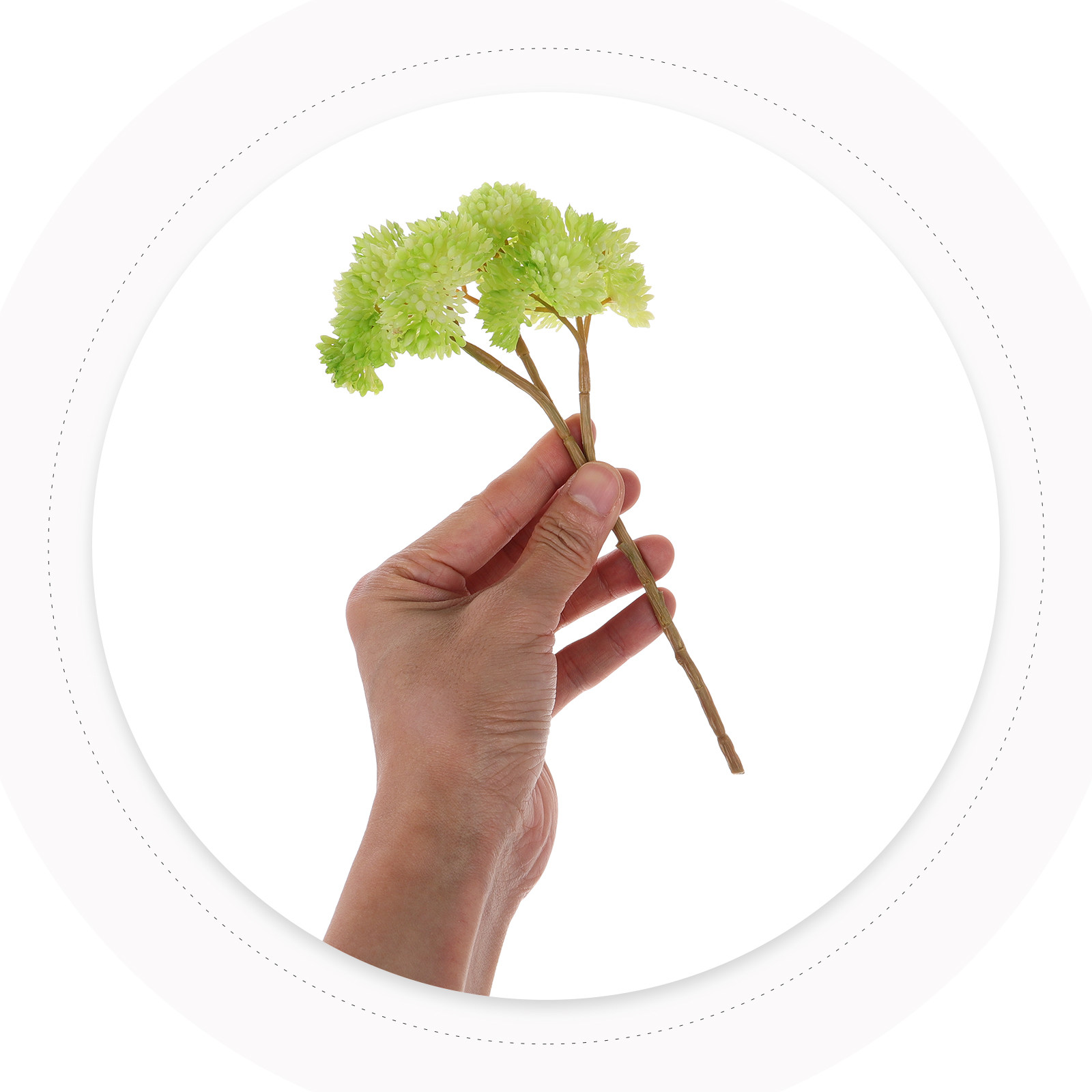 Plantes succulentes artificiel - Photography Lighting Setup avis et prix